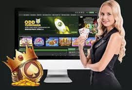 haobet77 Online Casino Myanmar